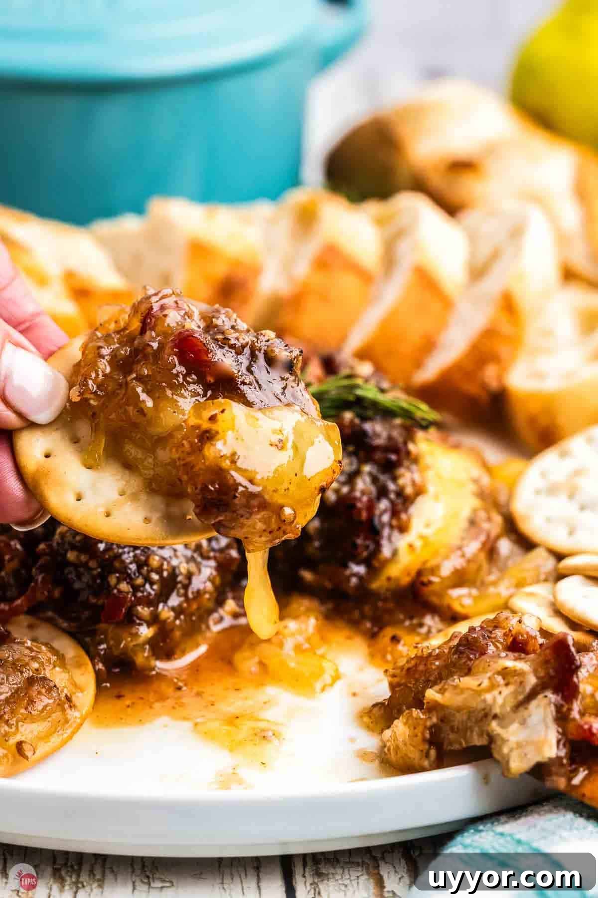 hand with cracker topped  with melted cheese