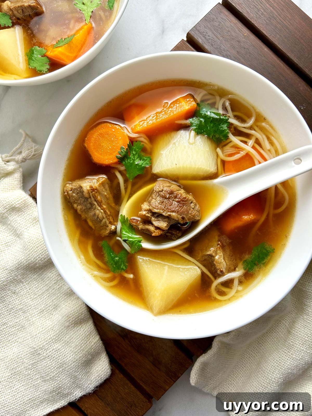 Hearty Beef Brisket Noodle Soup Recipe for Comforting Dinner 2 bowl of beef brisket noodle soup