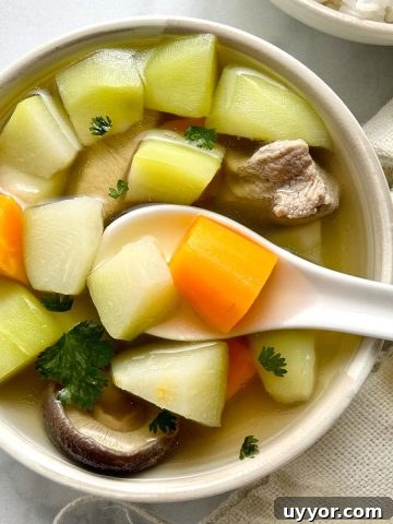 chayote soup in bowl