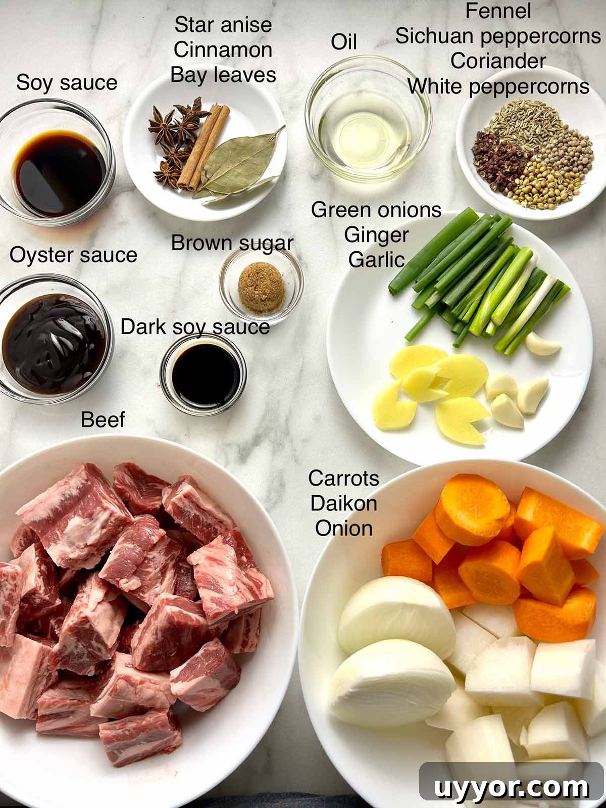 Hearty Beef Brisket Noodle Soup Recipe for Comforting Dinner 3 ingredients prepped in bowls