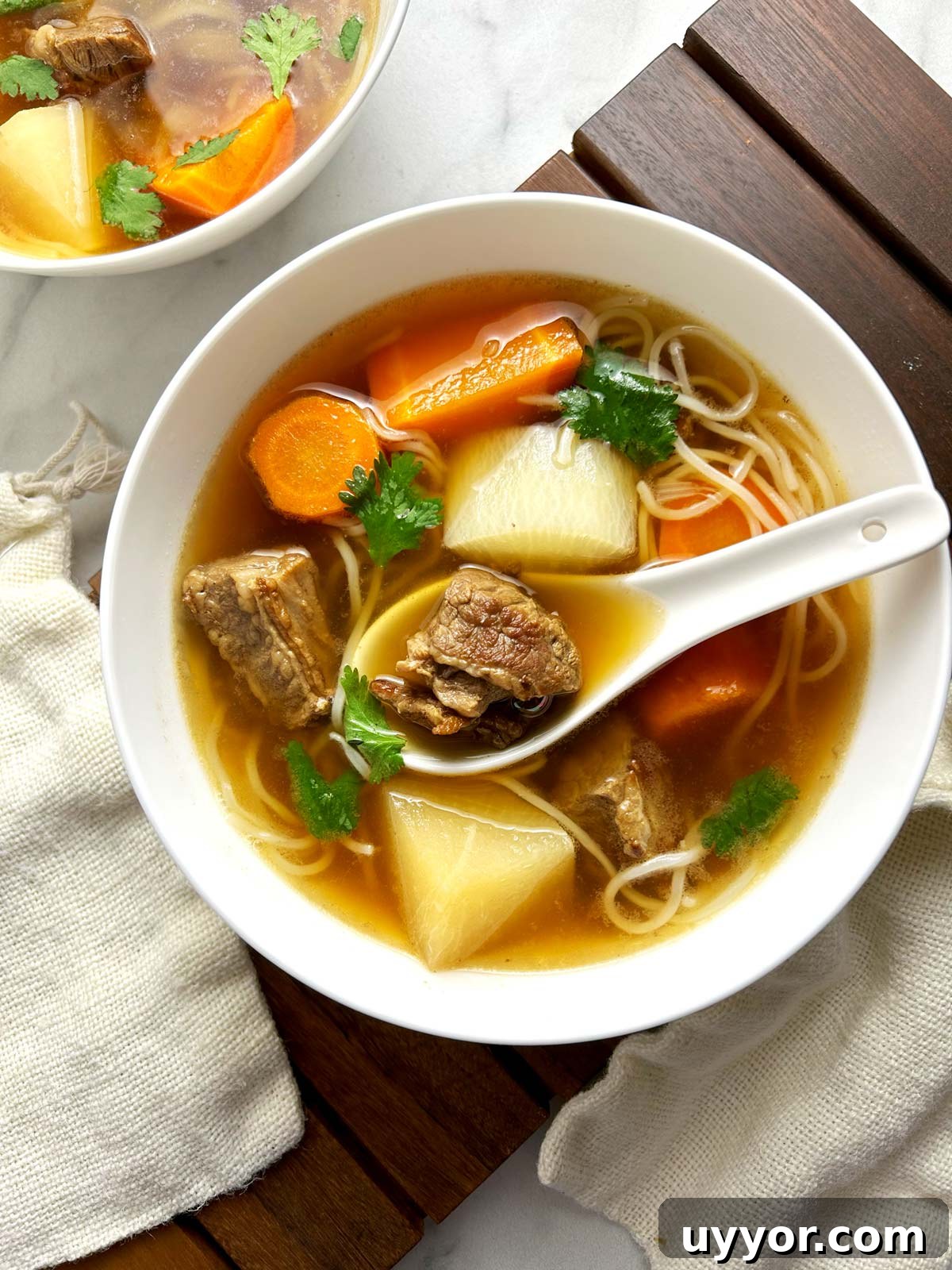 Hearty Beef Brisket Noodle Soup Recipe for Comforting Dinner 9 another angle of a bowl of beef brisket noodle soup
