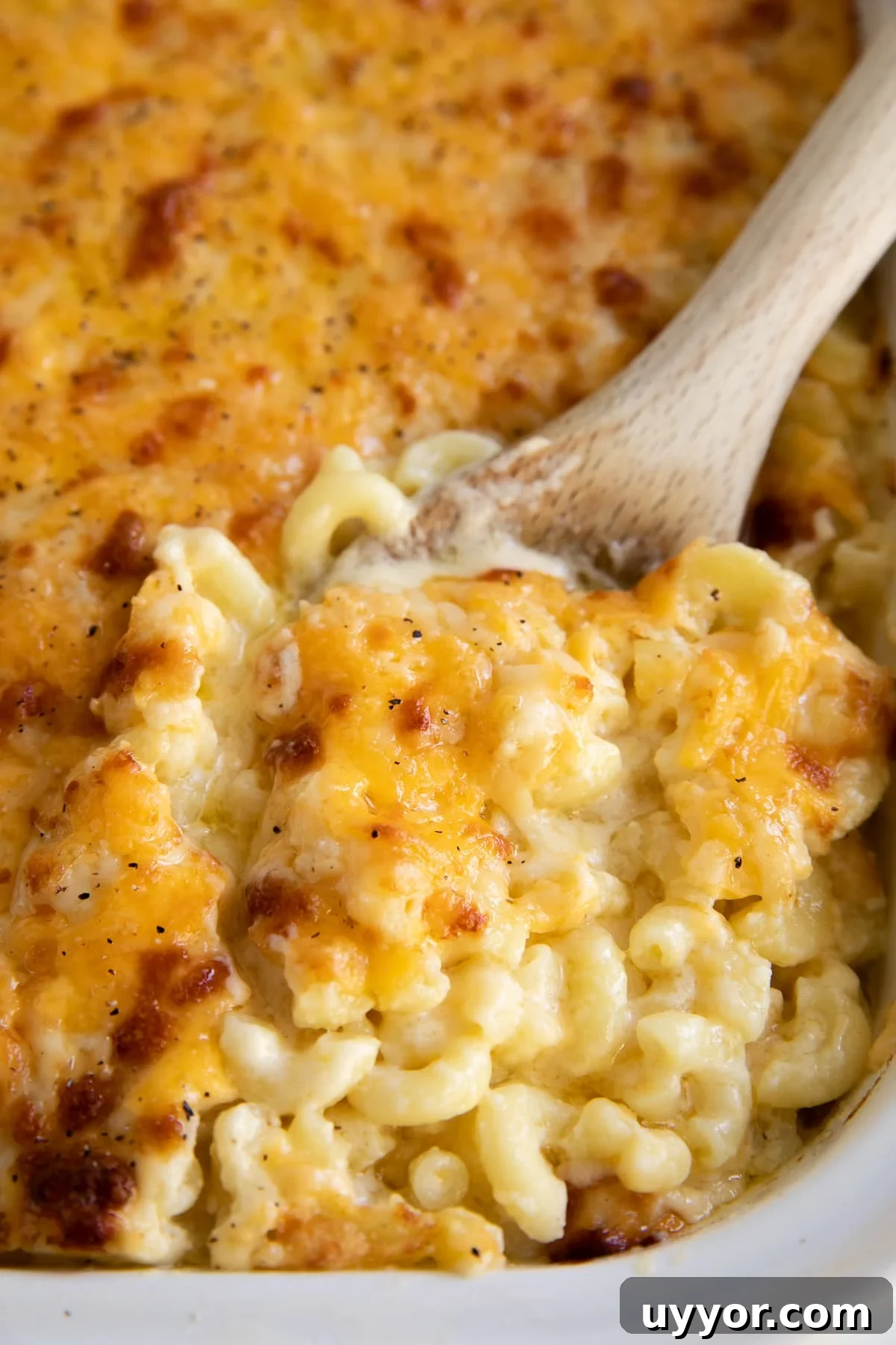 Wooden spoon filled with creamy baked macaroni and cheese in a white baking dish.