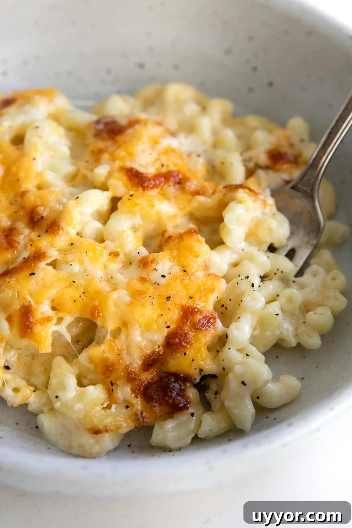Baked macaroni and cheese in a shallow white serving bowl.