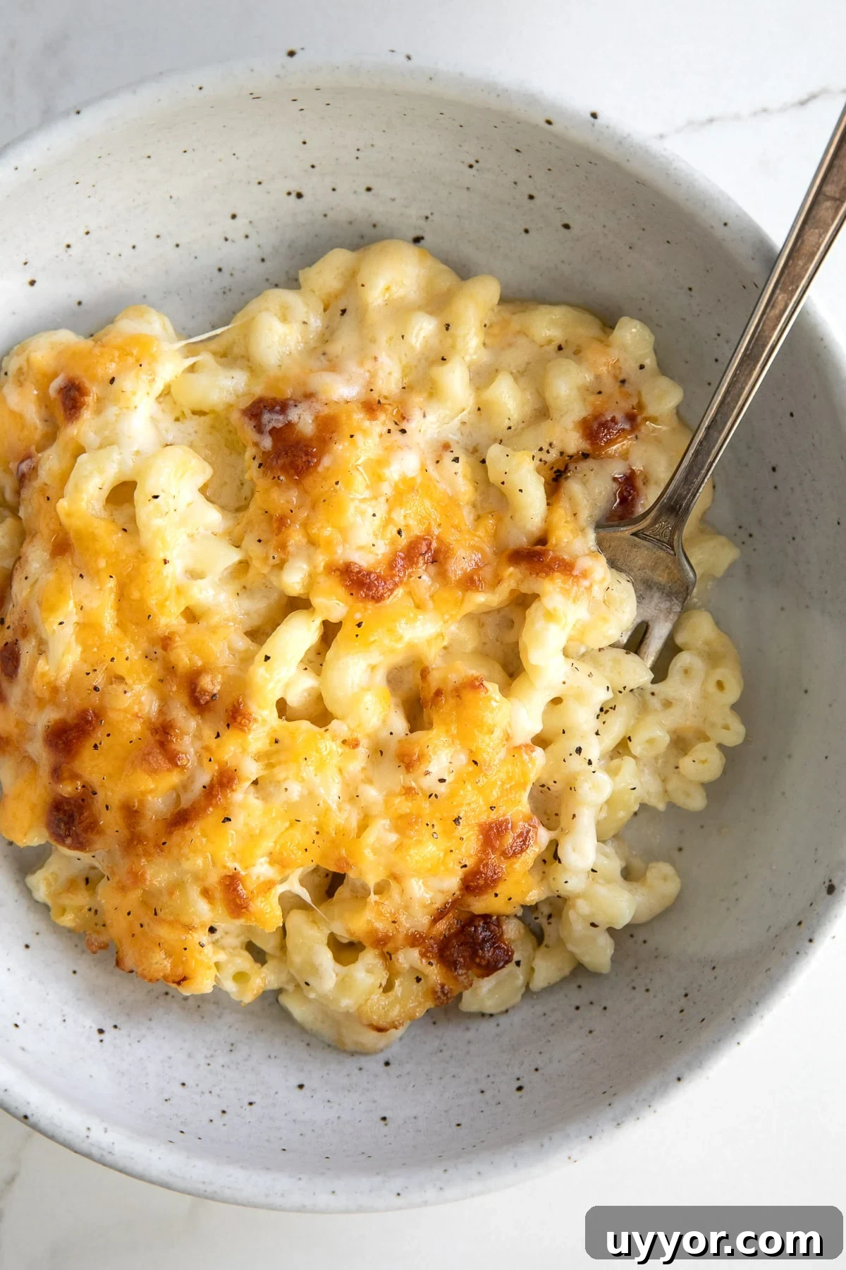 Baked macaroni and cheese in a shallow white serving bowl.