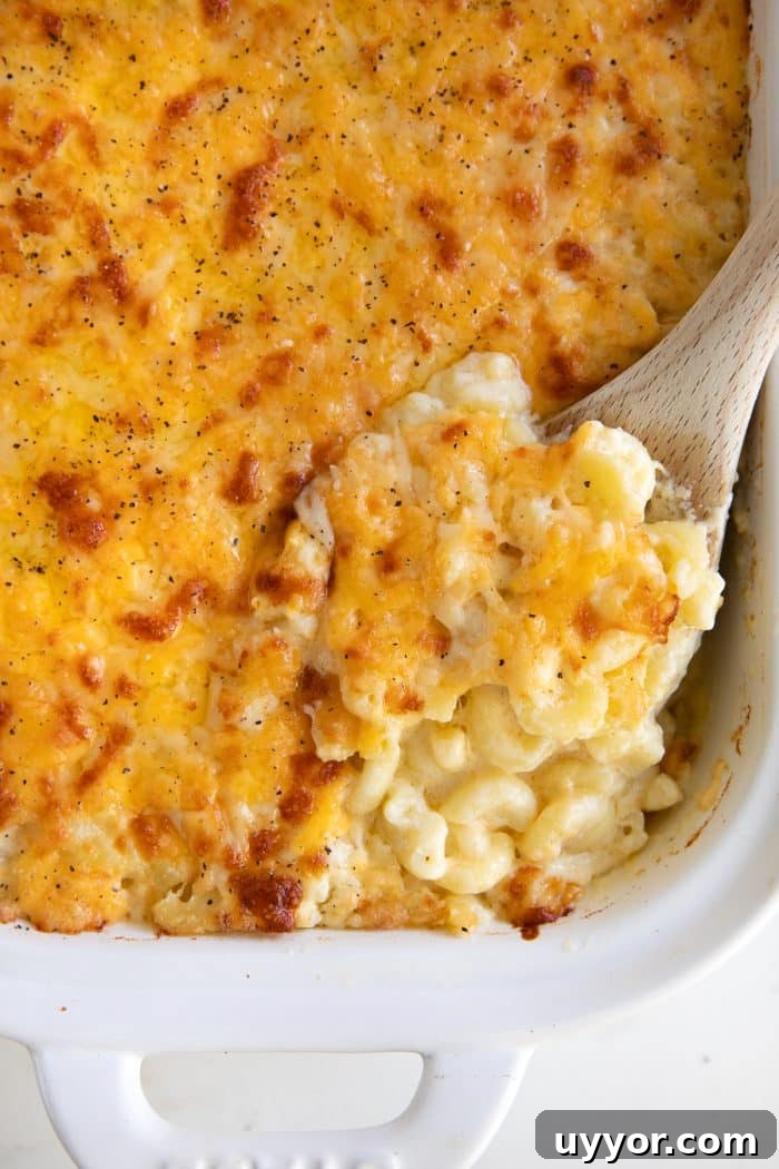 Wooden spoon filled with creamy baked macaroni and cheese in a white baking dish.