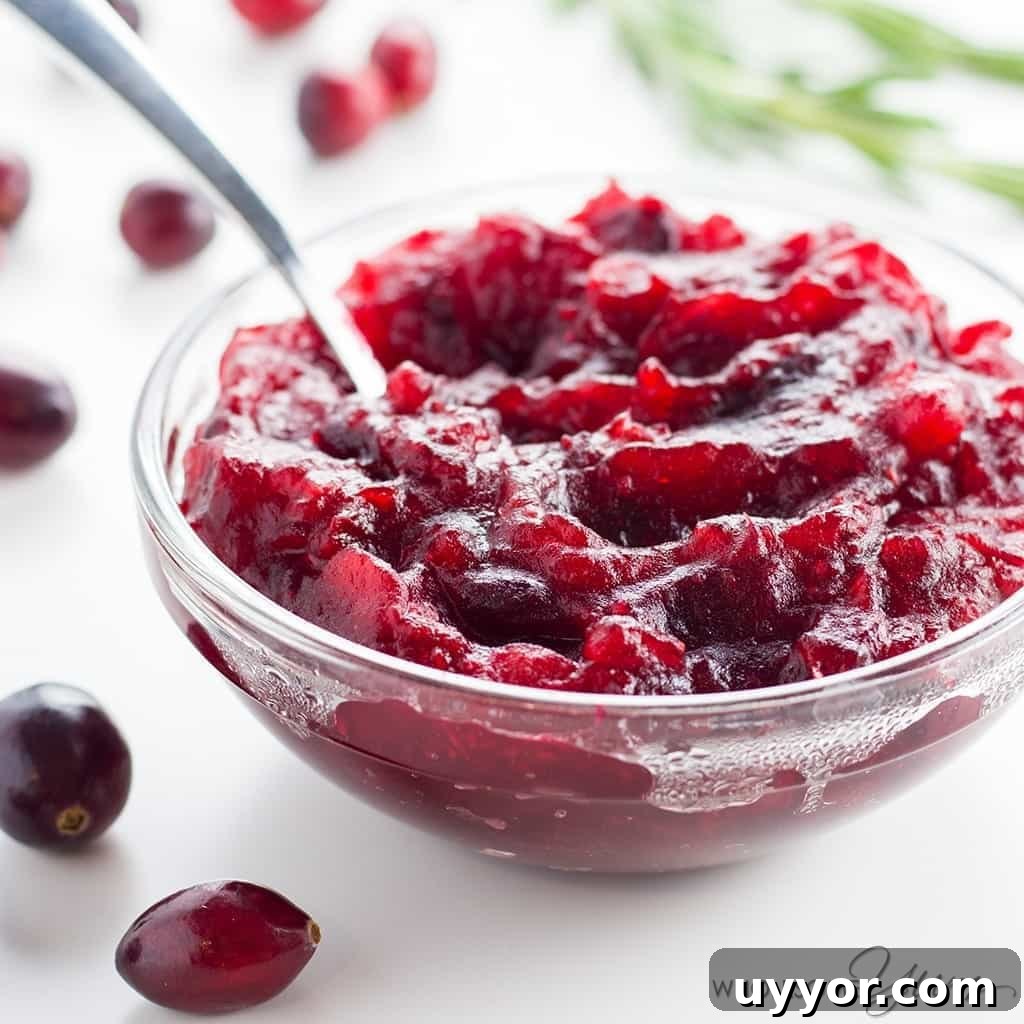 Sugar-Free Cranberry Sauce