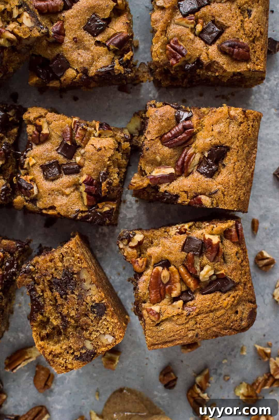 Vegan Peanut Butter Chocolate Chip Pecan Bars Recipe 4 Squares of egg and dairy free peanut butter chocolate chip pecan bars.