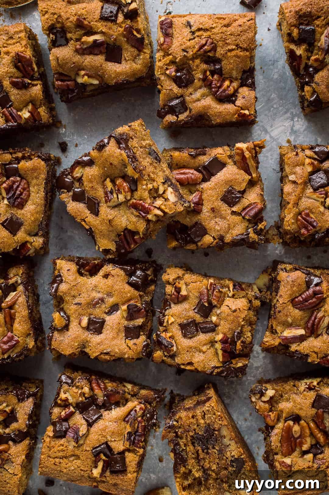 Vegan Peanut Butter Chocolate Chip Pecan Bars Recipe 7 Top down photo of vegan peanut butter chocolate chip pecan bars sliced into squares.