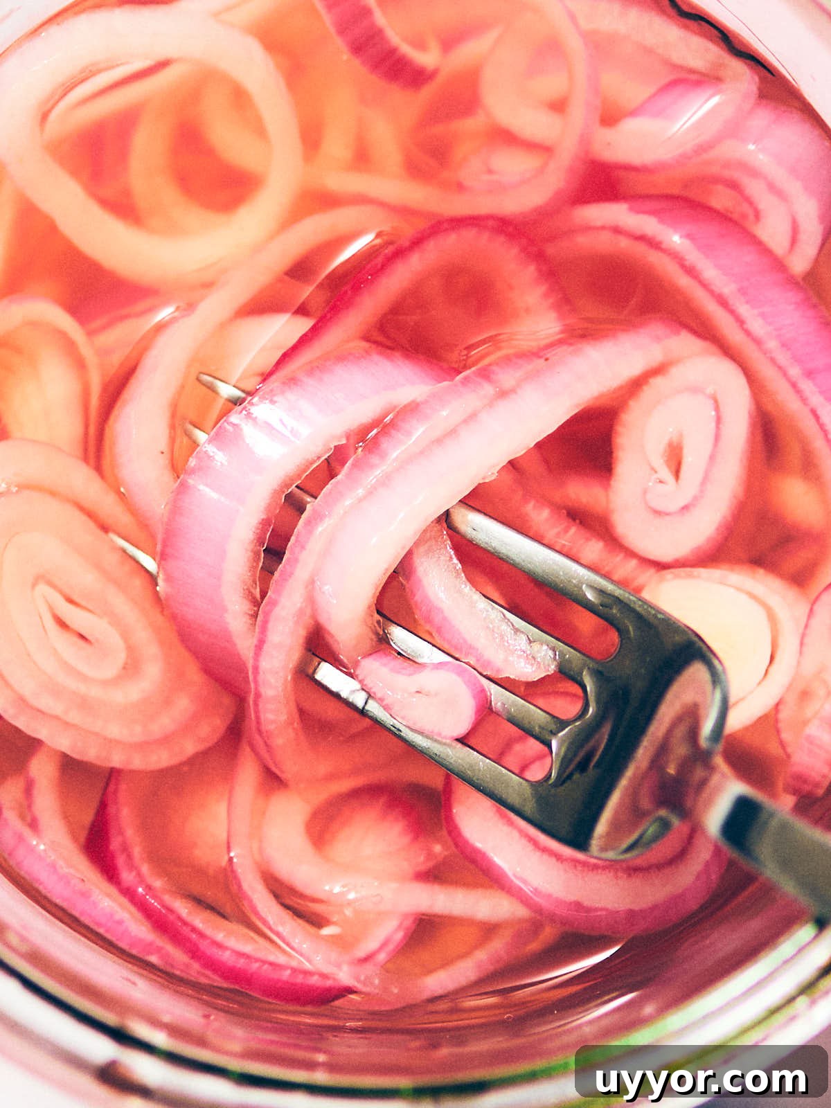 A fork scooping easy pickled shallots out of a jar.
