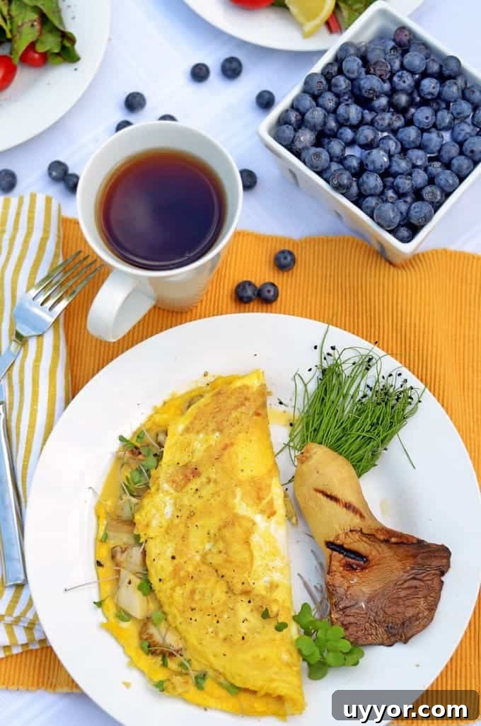 Microgreen Omelette Recipe: Flavorful High-Protein Breakfast 2 a over head view of anomelet