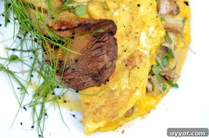 Microgreen Omelette Recipe: Flavorful High-Protein Breakfast 3 a close up of an omelet