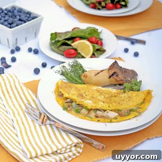 Microgreen Omelette Recipe: Flavorful High-Protein Breakfast 4 a plate of breakfast