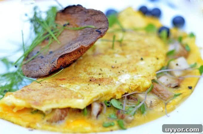 Microgreen Omelette Recipe: Flavorful High-Protein Breakfast 5 A close up of a mushroom omelet.