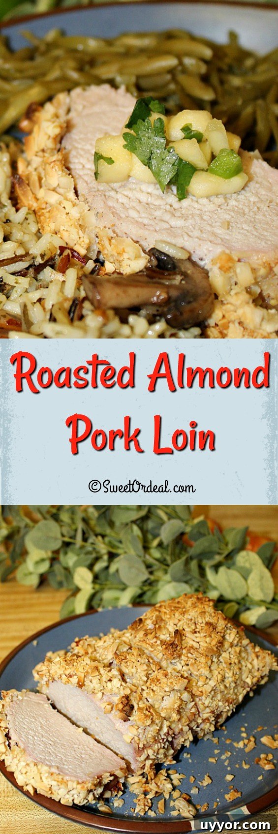 Roasted Almond Pork Loin