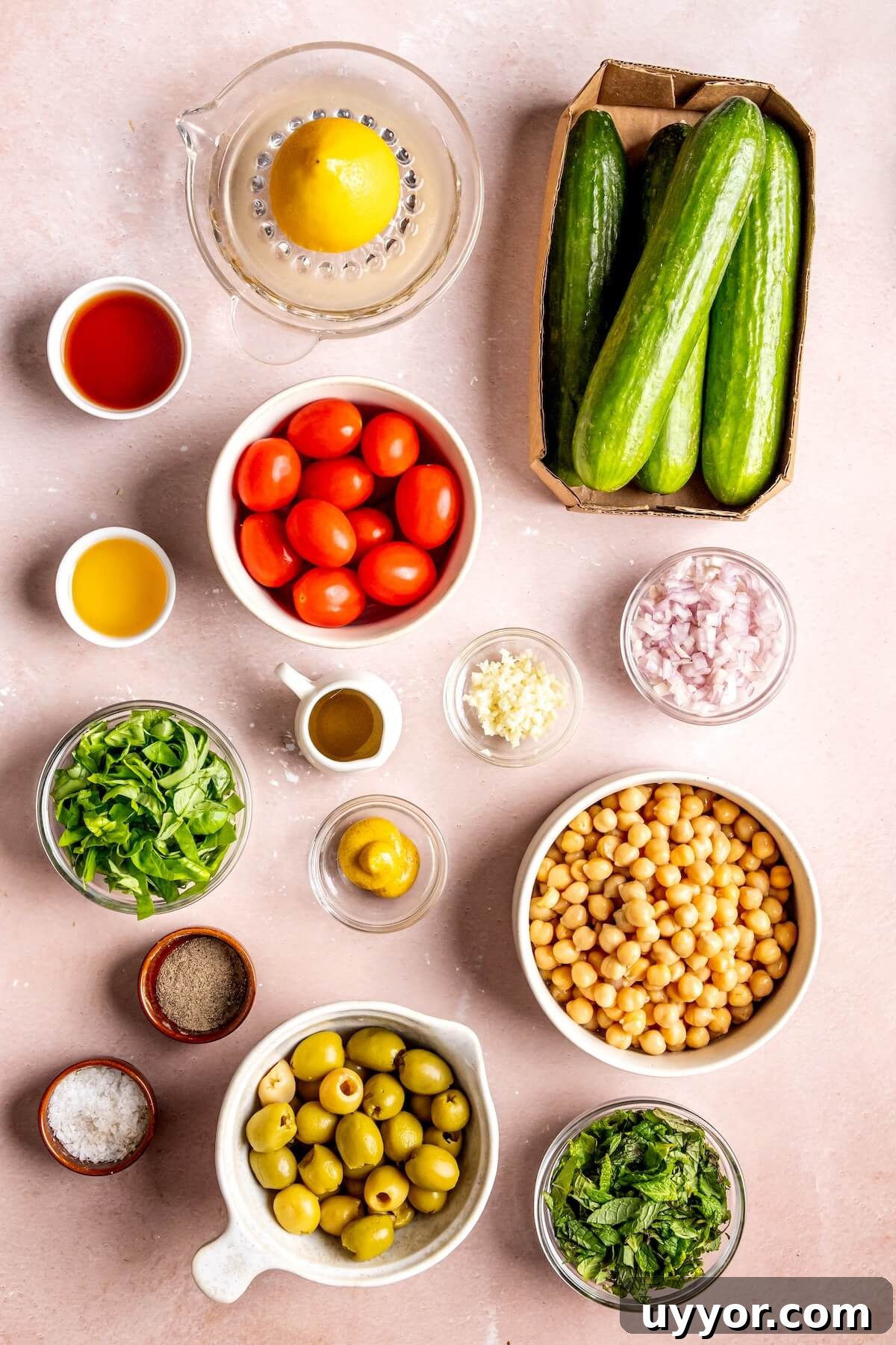 Cucumber Chickpea Greek Salad with Shallot Vinaigrette 6 Ingredients for Cucumber Chickpea Greek Salad - Olivia Adriance