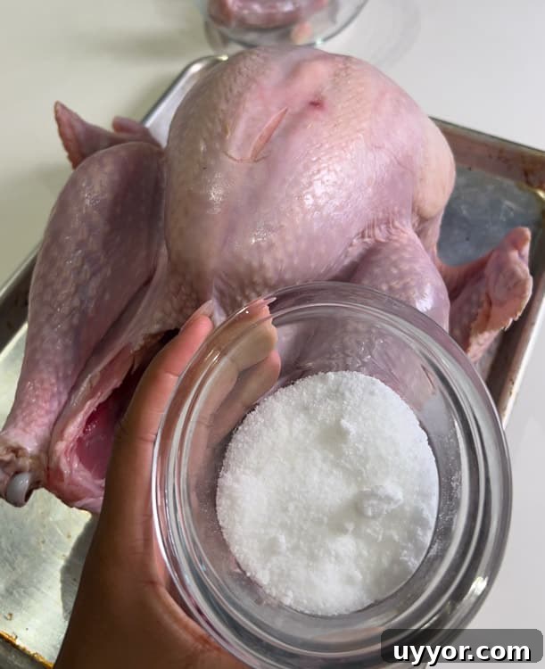 Cajun-Roasted Turkey Recipe for Bold, Crispy Flavor 2 Cajun Butter Turkey