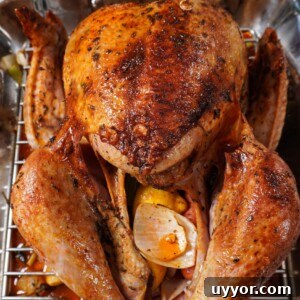 Cajun-Roasted Turkey Recipe for Bold, Crispy Flavor 3 Finished Cajun Butter Turkey