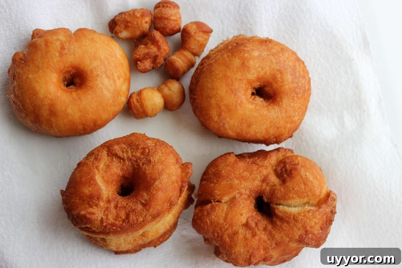 How to Make Cronuts at Home: Step-by-Step Recipe for Flaky, Custard-Filled Pastries 5 fried donuts and cronut holes sitting on paper towels.