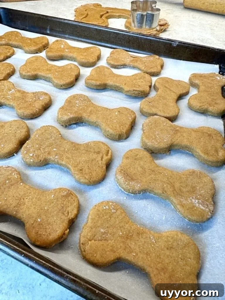 dog treats ready o bake