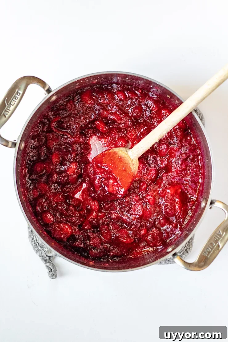 Cranberry Orange Sauce Recipe for Holiday Feasts 6 Cranberry sauce thickened in saucepan.