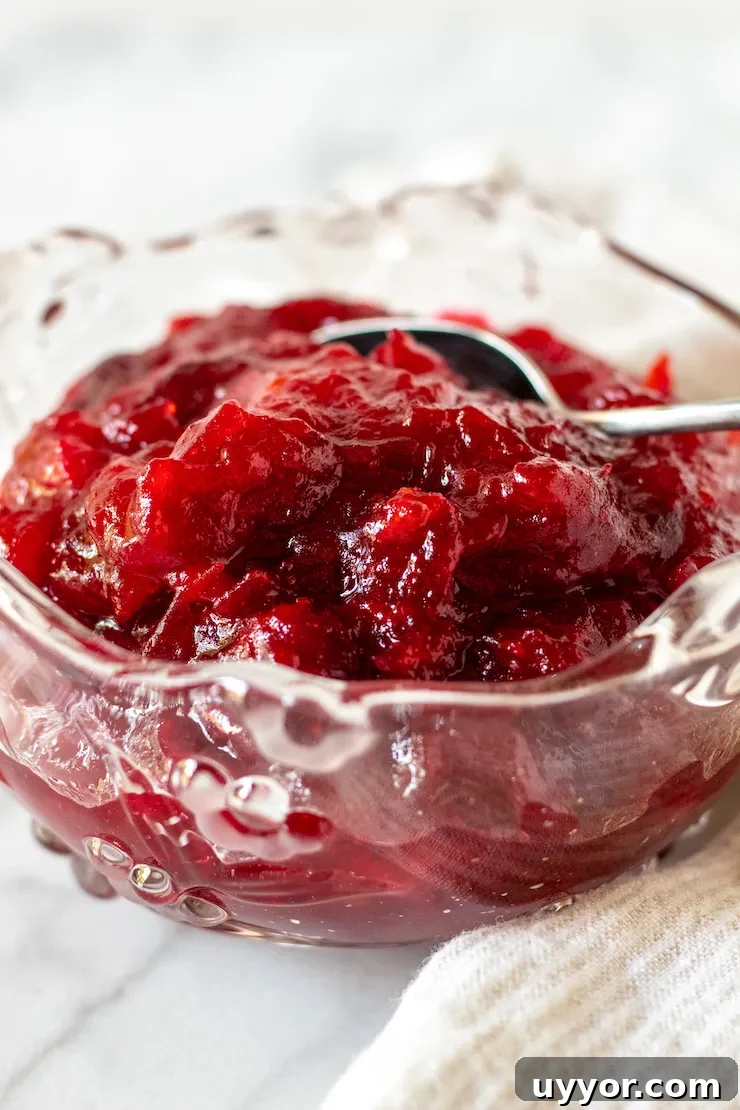 Cranberry Orange Sauce Recipe for Holiday Feasts 8 Cranberry orange sauce in a serving dish with spoon.