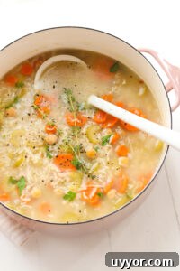 Chickpea and Rice Soup Veggiekins