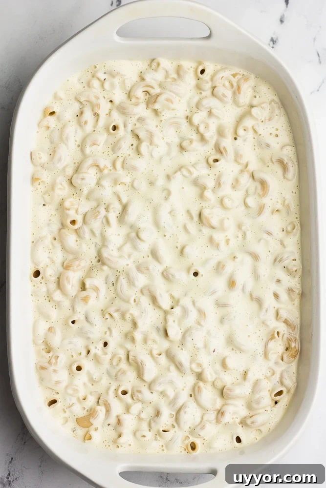 Creamy Vegan Baked Macaroni and Cheese Casserole 4 casserole dish with noodles and sauce
