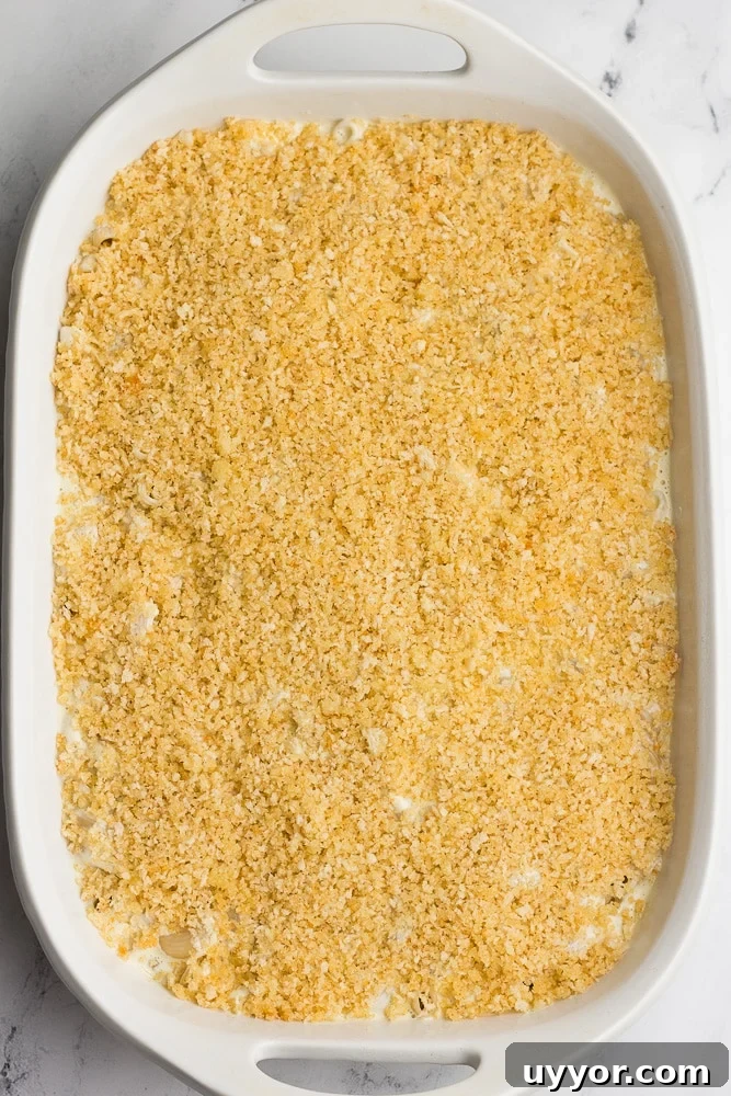 Creamy Vegan Baked Macaroni and Cheese Casserole 5 mac and cheese with breadcrumb topping before cooking