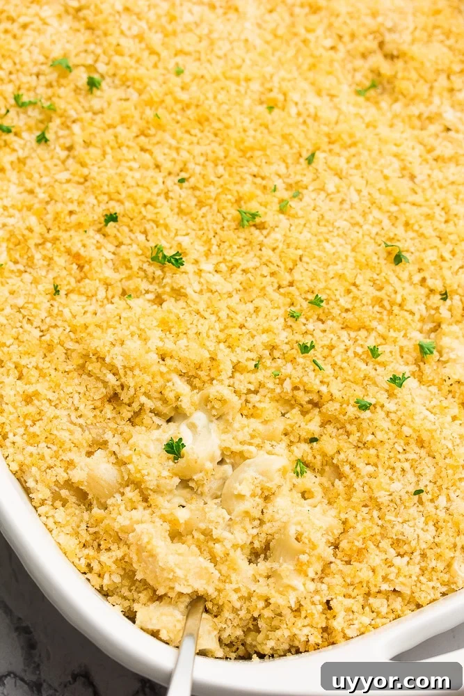 Creamy Vegan Baked Macaroni and Cheese Casserole 6 casserole dish with baked mac and cheese, cooked