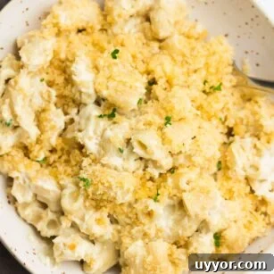 bowl of vegan baked mac and cheese