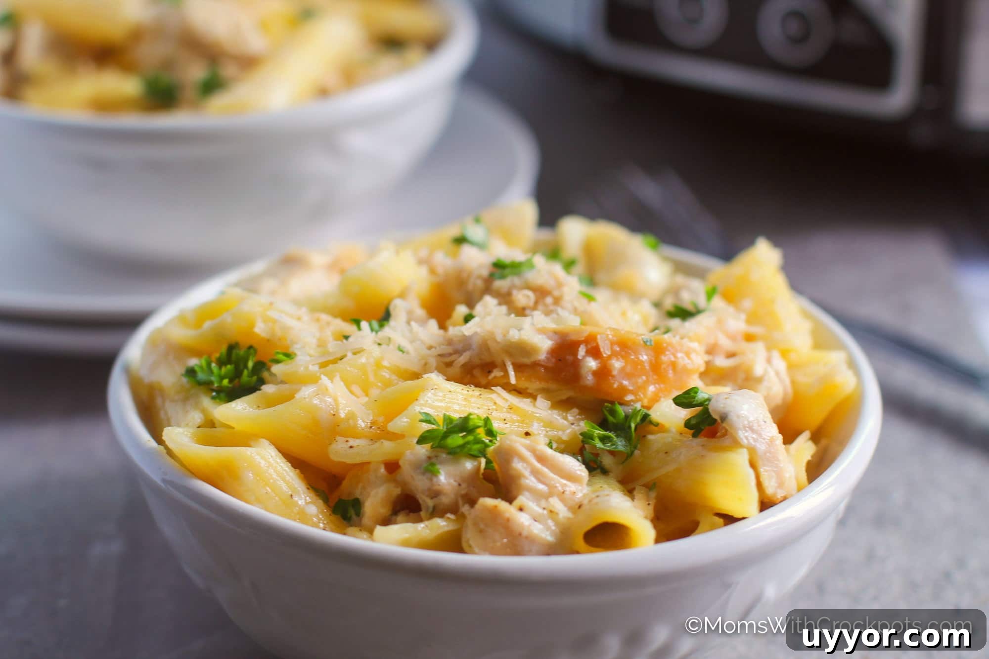 Chicken Alfredo in white bowl with parsley