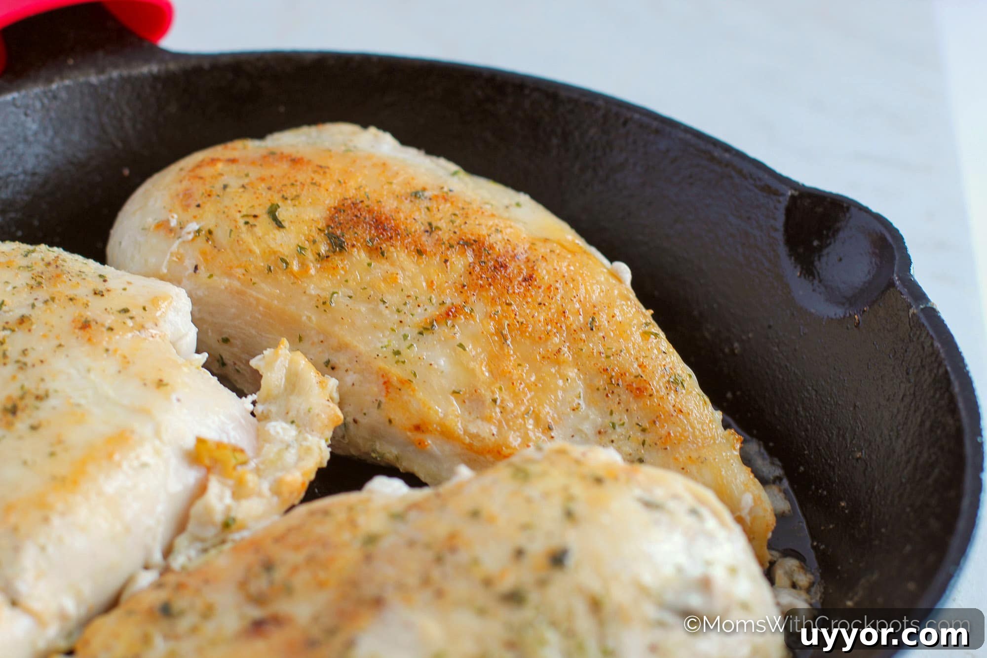 Chicken breasts in cast iron