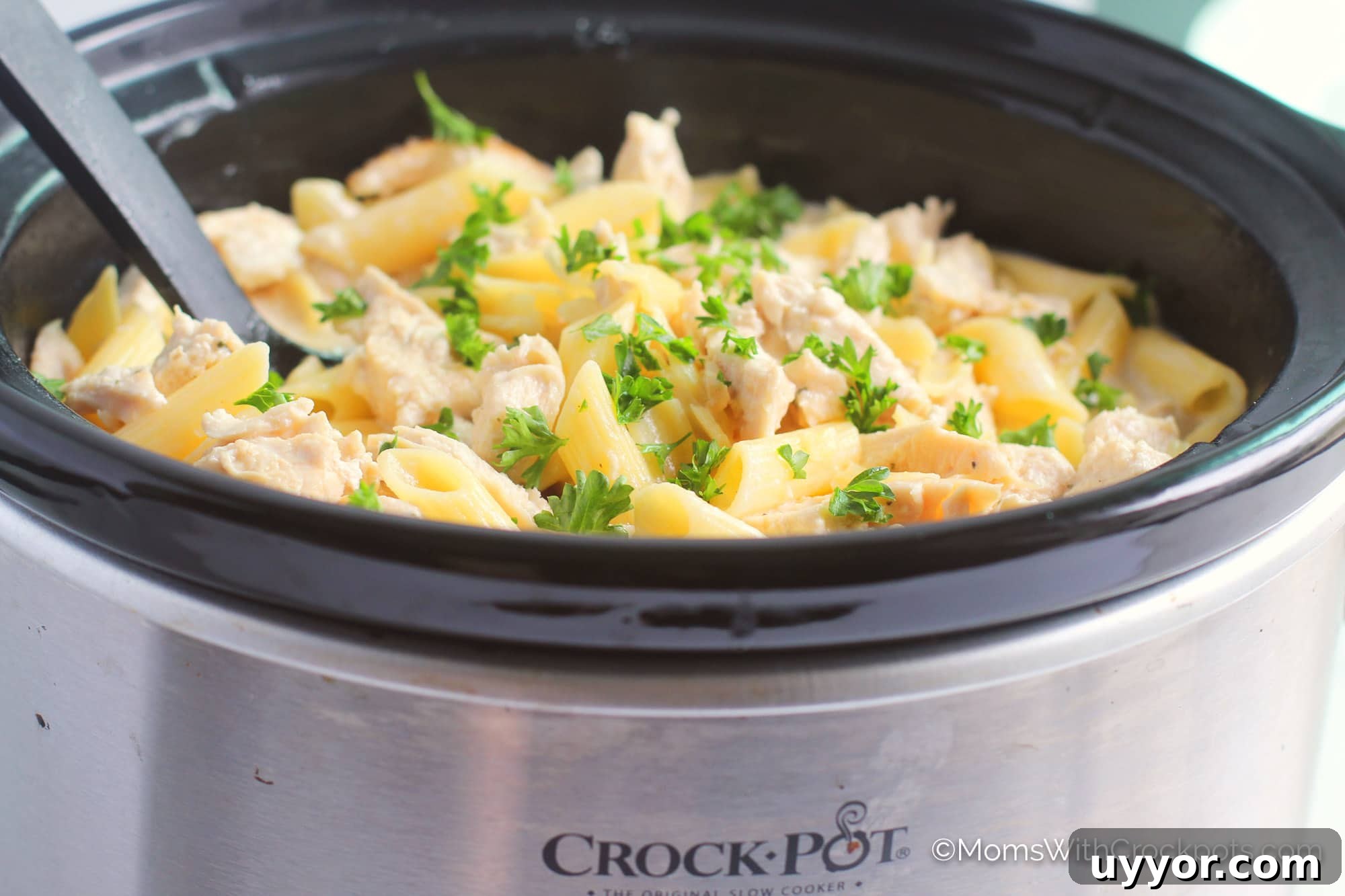 Crockpot Chicken Alfredo