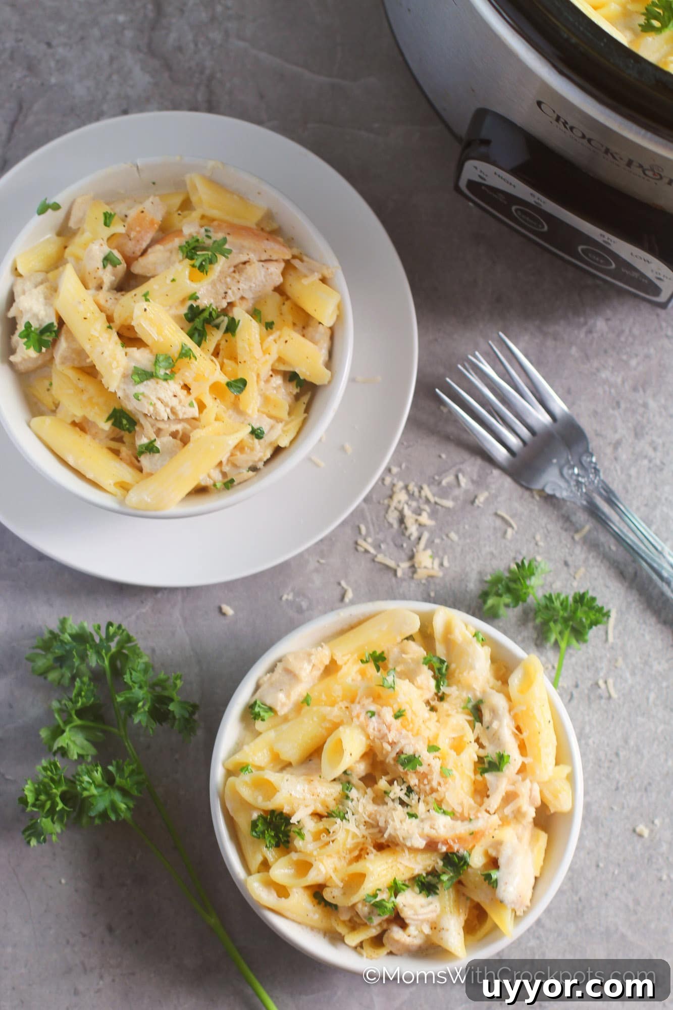 Chicken Alfredo in bowl with parsley