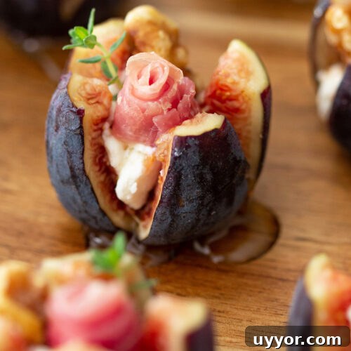 Prosciutto-Wrapped Figs Stuffed with Goat Cheese and Honey 6 Stuffed Figs with Goat Cheese