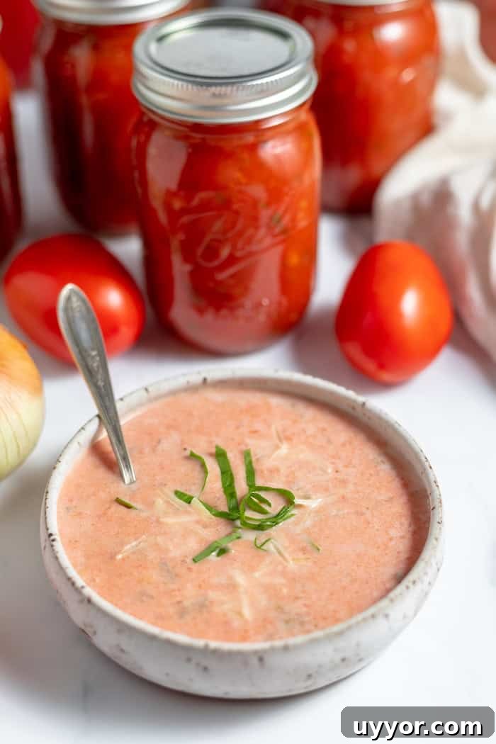 bowl of prepared tomato soup with jars in background