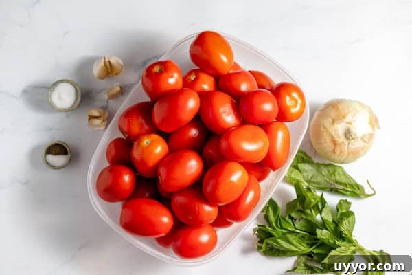 ingredients needed for canning tomato soup