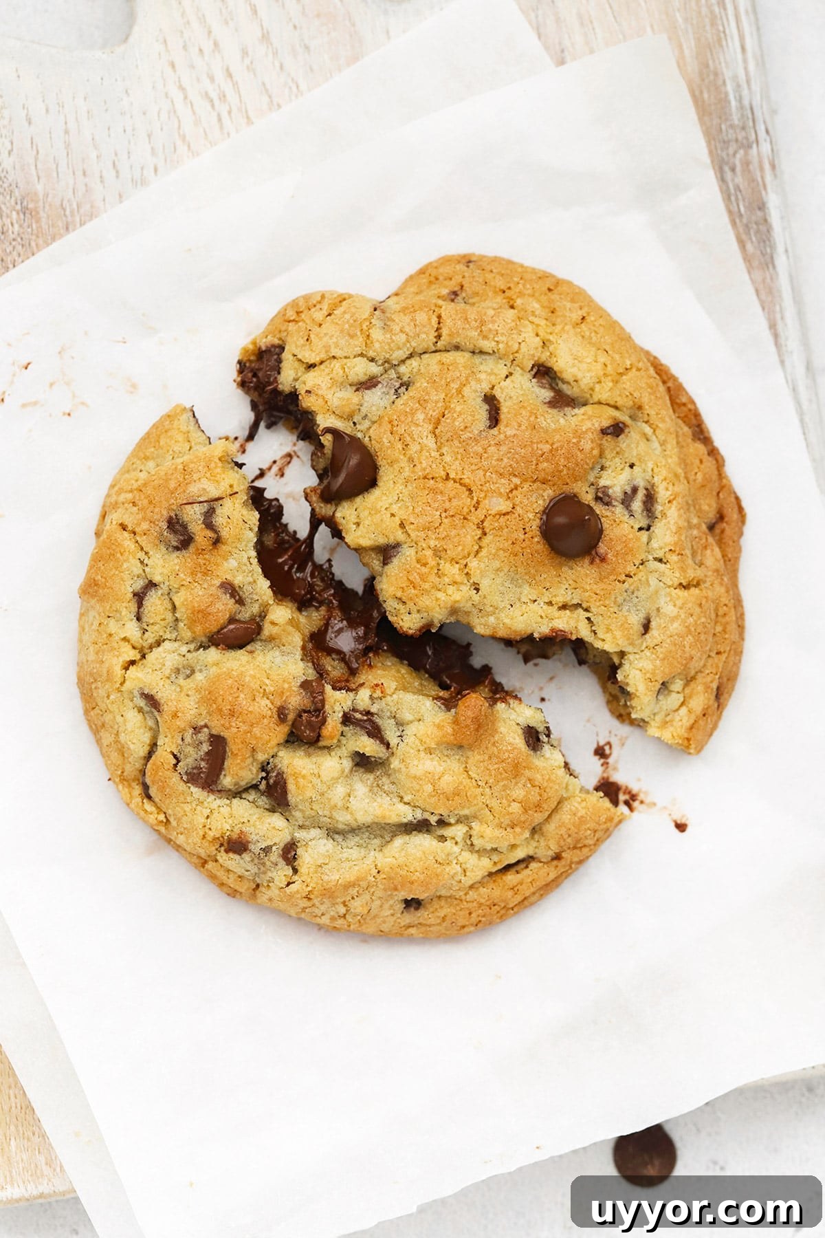 Gluten-Free Levain-Style Chocolate Chip Cookies 2 Breaking a gluten-free Levain chocolate chip cookie in half, revealing its gooey center