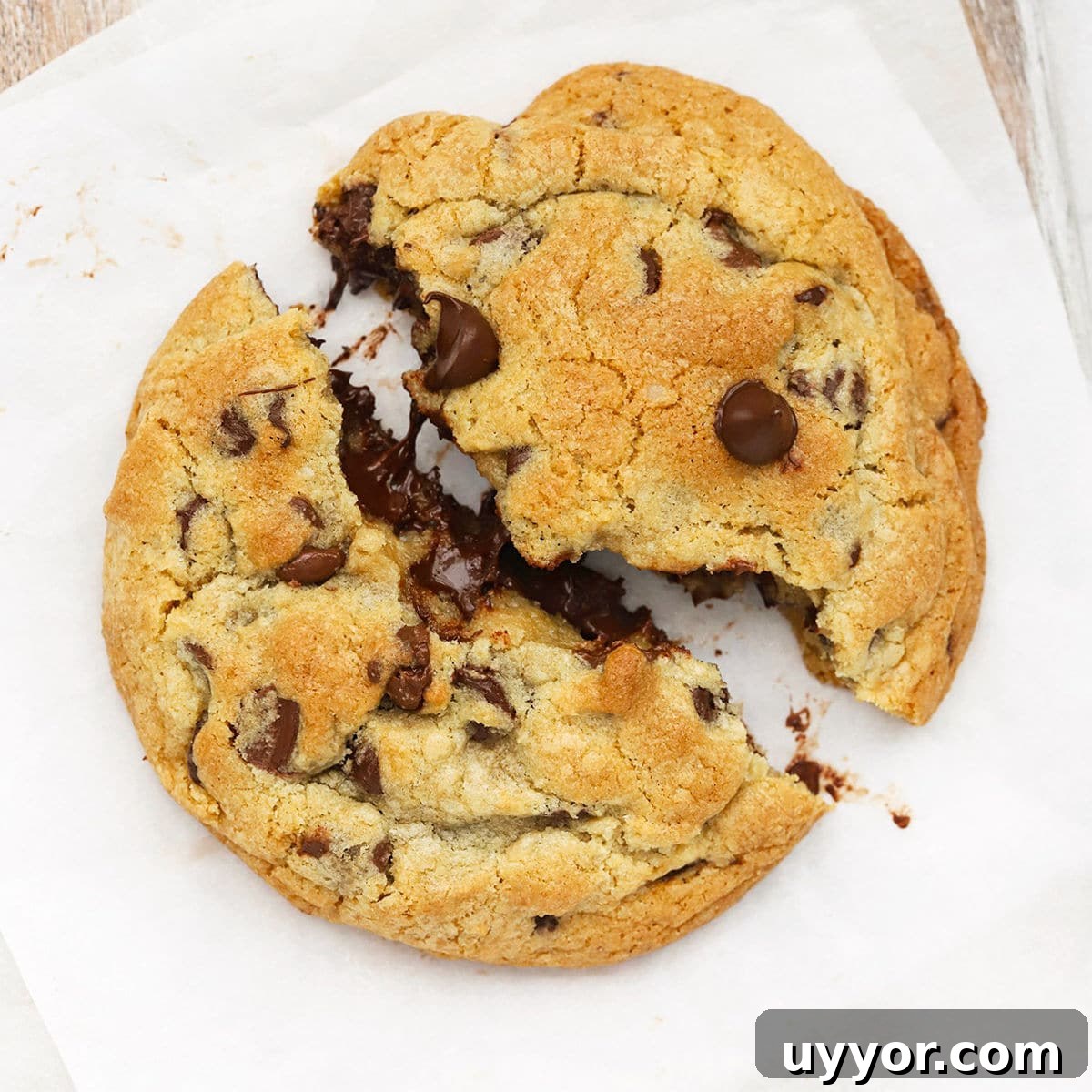 Gluten-Free Levain-Style Chocolate Chip Cookies 13 gluten free levain chocolate chip cookie being pulled apart to reveal a gooey center
