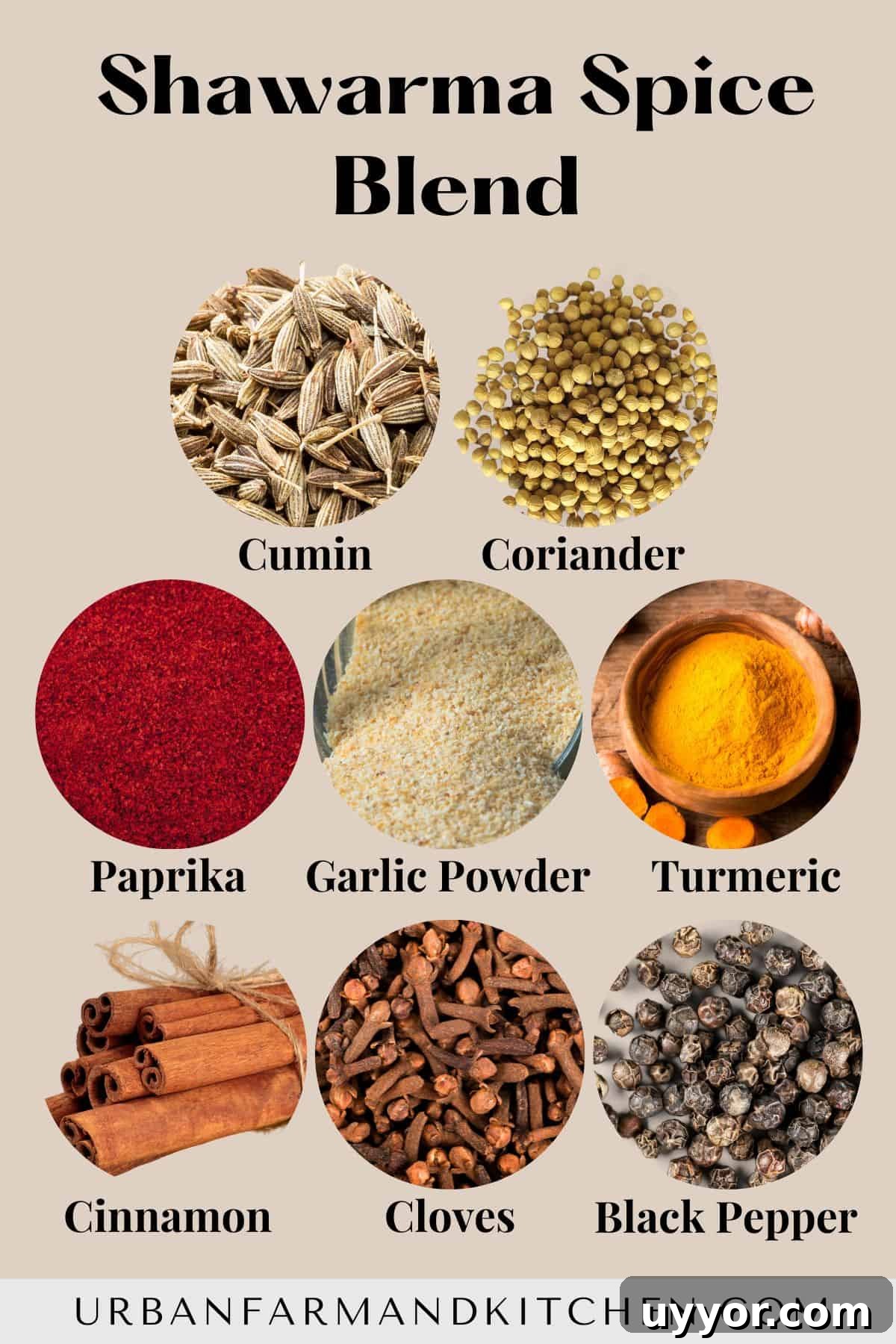 Graphic showing the 8 different spices that make up the shawarma spice blend.
