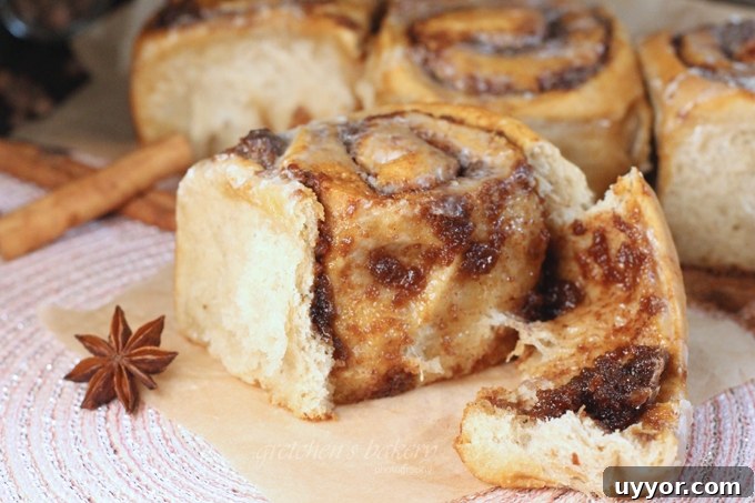 Gingerbread Cinnamon Rolls Recipe for the Holidays 4 Molasses Gingerbread Cinnamon Rolls