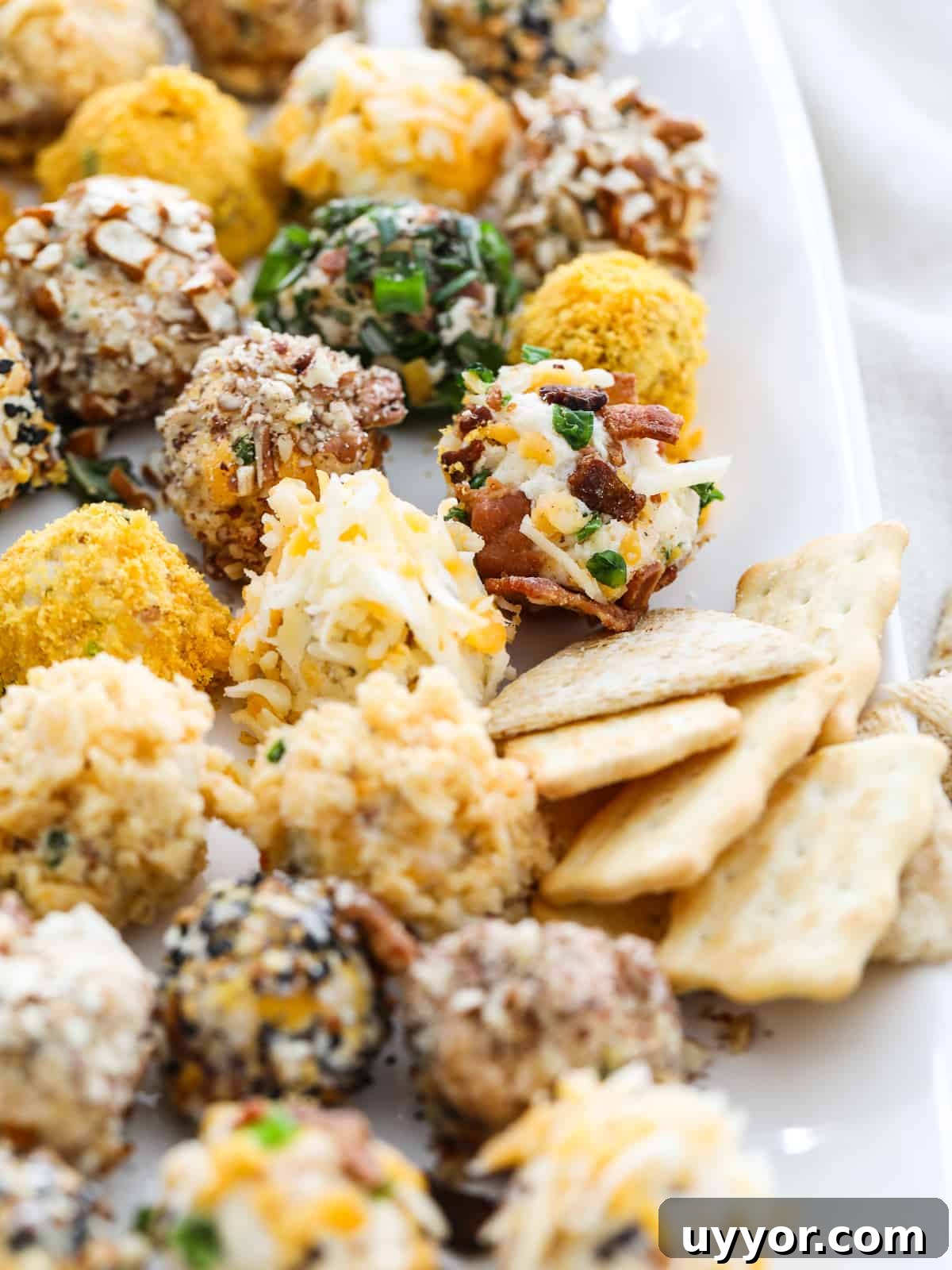 Savory Mini Cheese Truffles: Bite-Sized Party Cheese Balls 14 Cheese truffles with crackers
