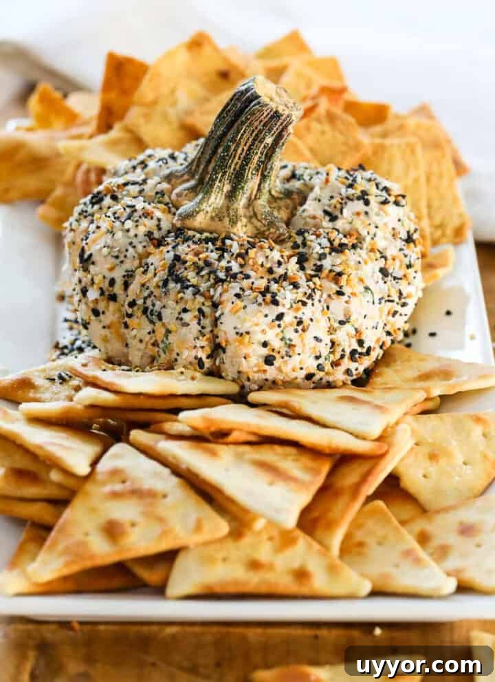 A pumpkin shaped cheese ball on a platter with pita chips and crackers.