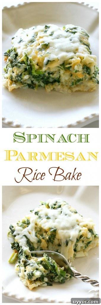 Spinach Parmesan Rice Bake - a cheesy side dish with spinach, cheese, and rice.