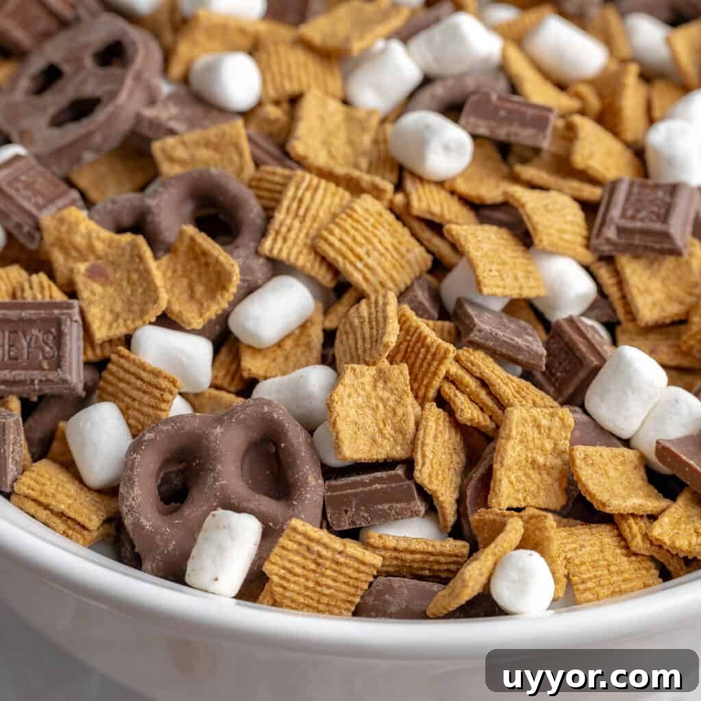 Patriotic Red White & Blue Chex Mix Recipe for 4th of July 13 Up close photo of S'mores snack mix in a white bowl