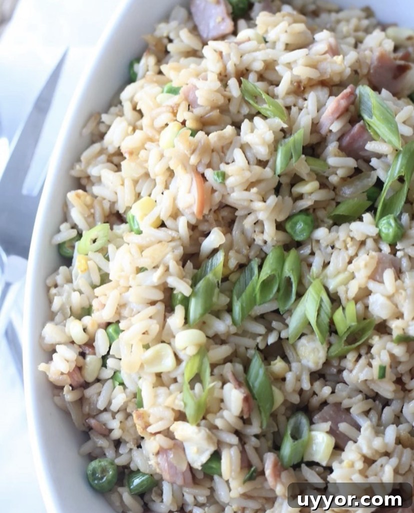 Savory Ham Fried Rice Recipe: Quick Weeknight Meal 3 img 914 2