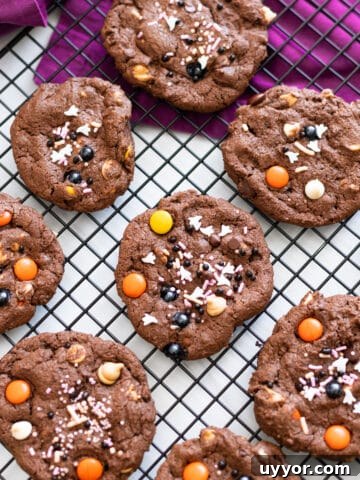 Halloween chocolate cookies next to each other on parchment paper.