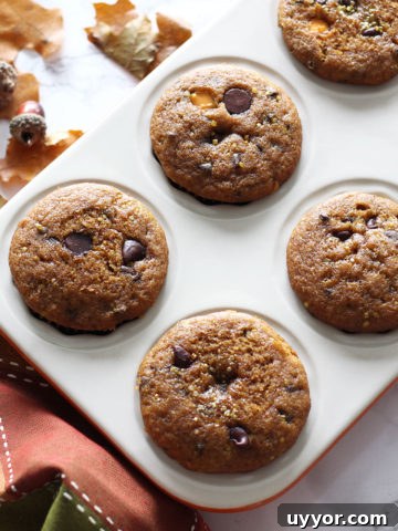 Pumpkin Chocolate Chip muffins in a tin.