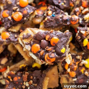 Halloween Crack Candy Recipe: Sweet & Crunchy Toffee Treat 20 White plate containing Halloween Bark Candy topped with reese's pieces, pecans and melted chocolate.