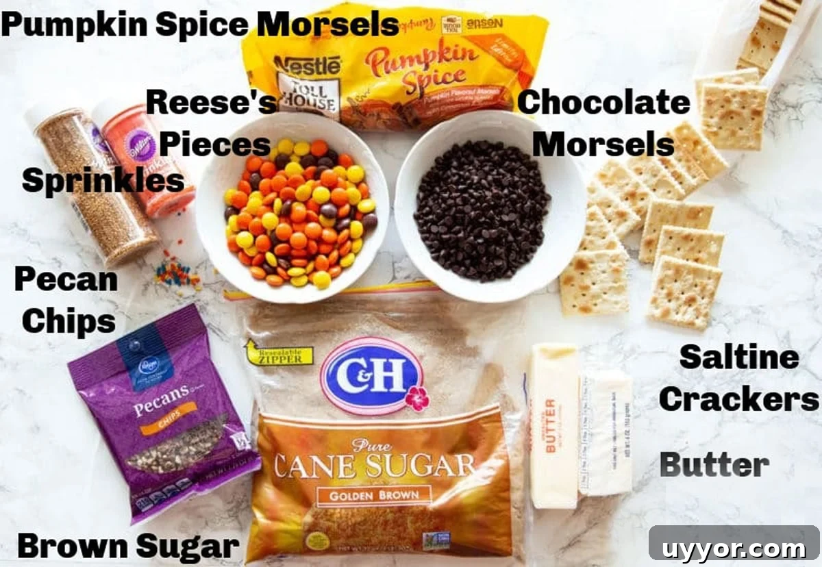 Halloween Crack Candy Recipe: Sweet & Crunchy Toffee Treat 4 Counter filled with pecans, candy, butter, crackers, sprinkles, and brown sugar.